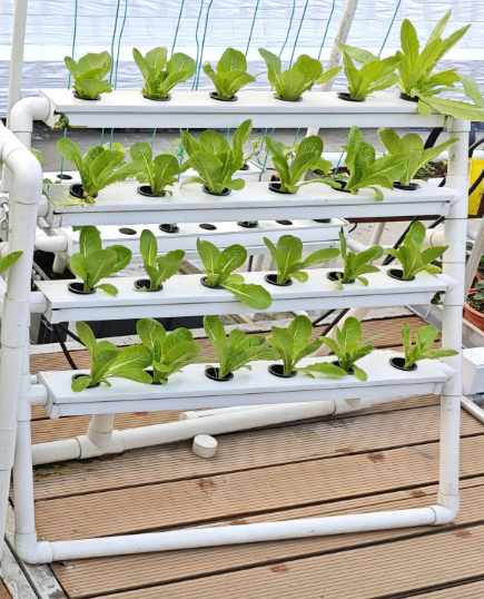 Hydroponic Nft Channel - MINI système hydroponique vertical à 24