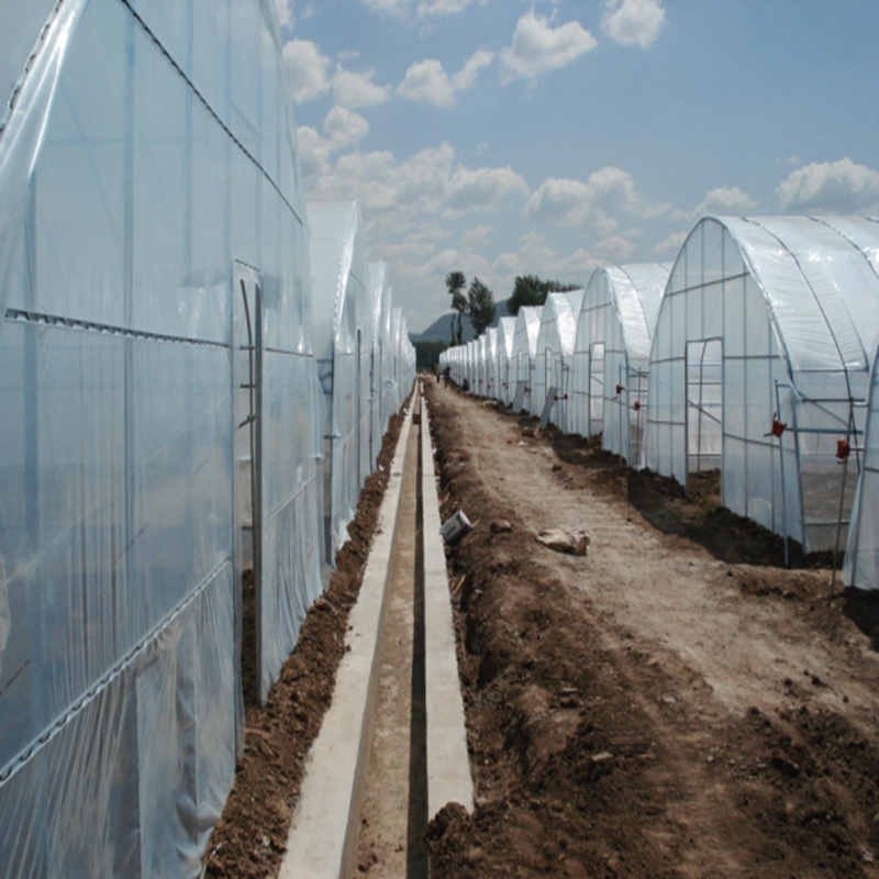 Agriculture Farming Vegetables - Film de serre agricole transparent de