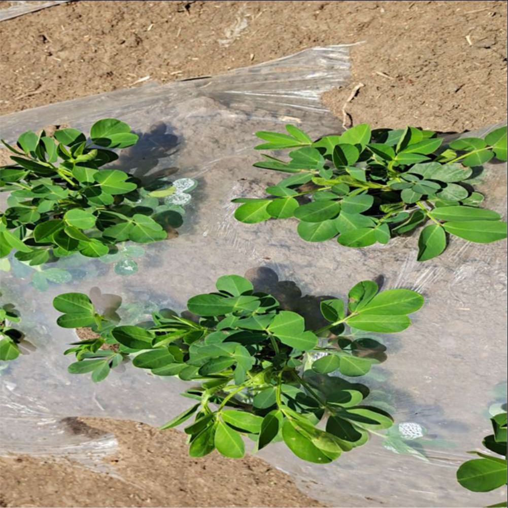 Film plastique de protection c - Agriculture Farming Vegetables avis et prix
