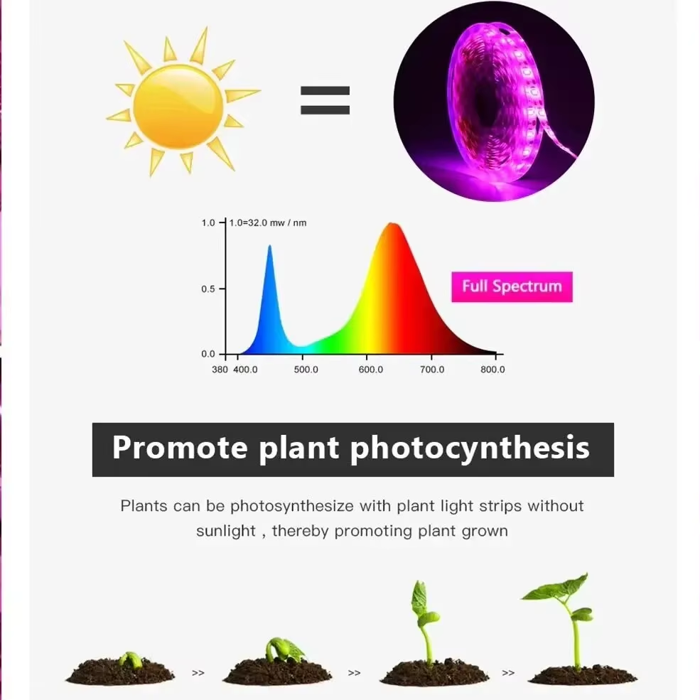 Lumières de culture de plantes - Hydroponic Nft Channel avis et prix