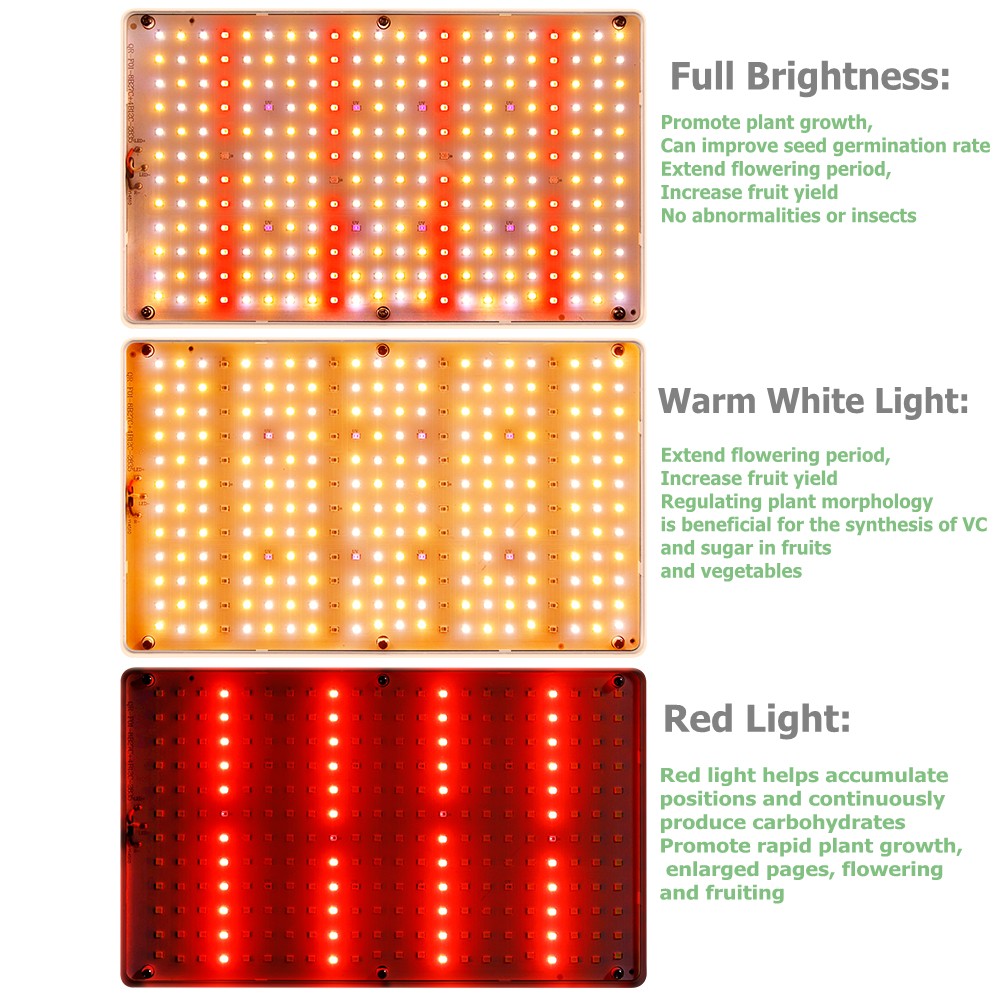 Lampe de croissance Led à sync - Hydroponic Nft Channel avis et prix