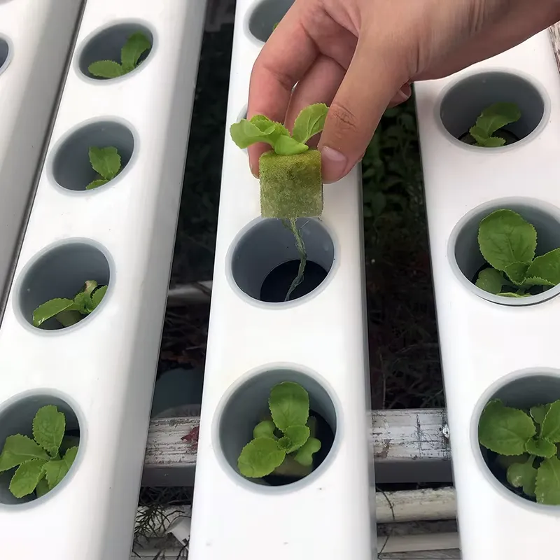 Profilé PVC sur mesure 75x50mm - Hydroponic Nft Channel avis et prix