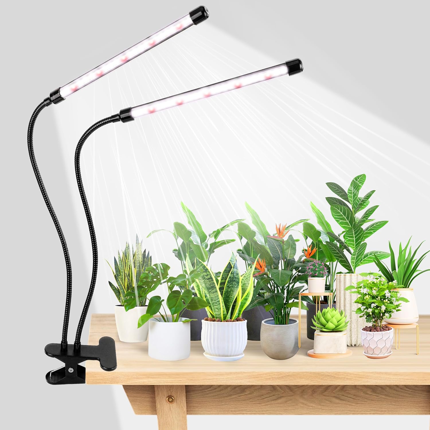 KEBINCPLED Lampe de culture LE - Hydroponic Nft Channel avis et prix