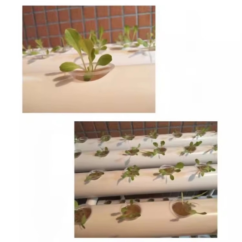Système de culture hydroponiqu - Hydroponic Nft Channel avis et prix