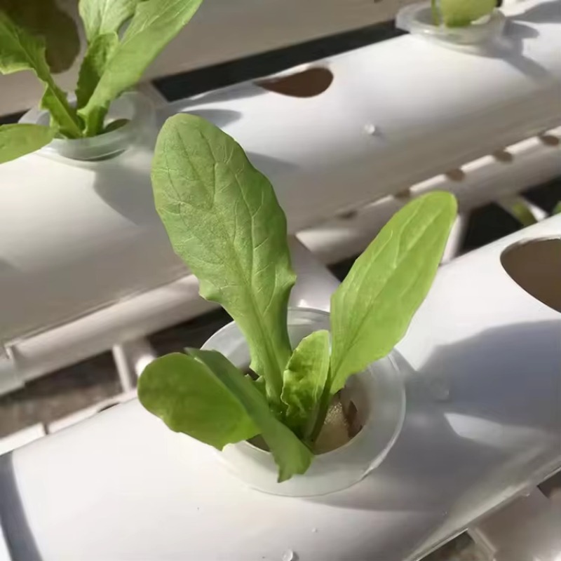 Système de culture hydroponiqu - Hydroponic Nft Channel avis et prix
