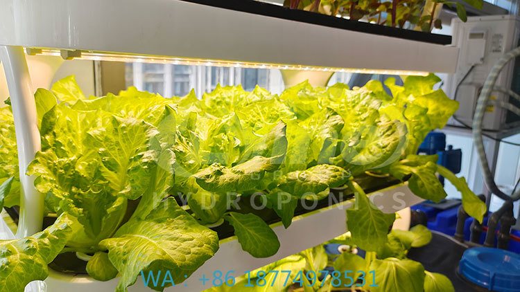 c Machine agricole pour cultiv - Agriculture Farming System avis et prix