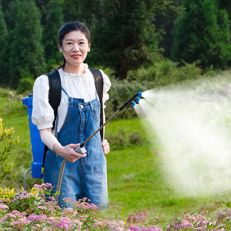 Pulvérisateur de désinfection  - Crop Sprayer Backpack avis et prix